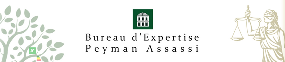 Bureau d'Expertise Peyman Assassi